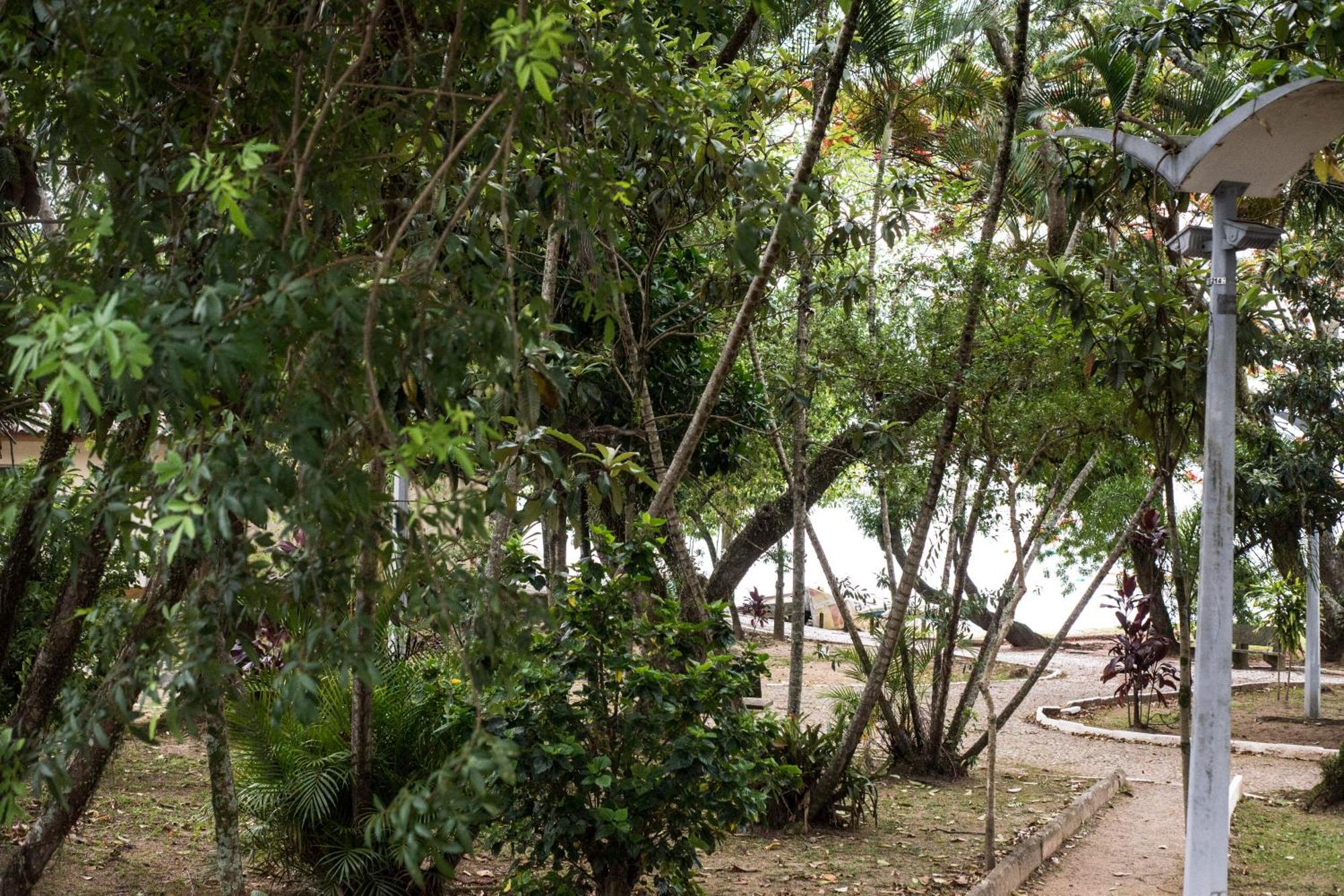 شقة Vista Mar Na Via Gastronomica Coqueiros Coq2 Florianópolis المظهر الخارجي الصورة