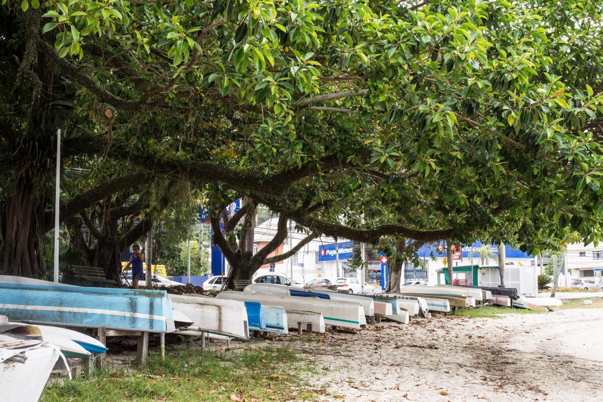 شقة Vista Mar Na Via Gastronomica Coqueiros Coq2 Florianópolis المظهر الخارجي الصورة